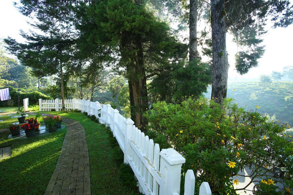 Vila The Firs Nuwara Eliya Exteriér fotografie