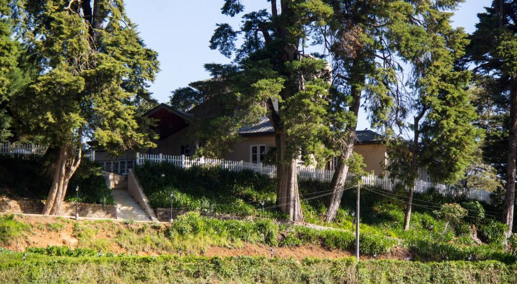 Vila The Firs Nuwara Eliya Exteriér fotografie