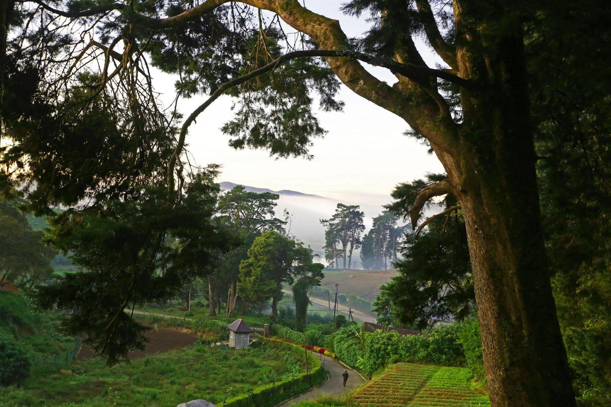 Vila The Firs Nuwara Eliya Exteriér fotografie